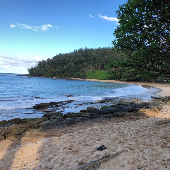 Meet your Posher, Angela - Picture 1 of 1